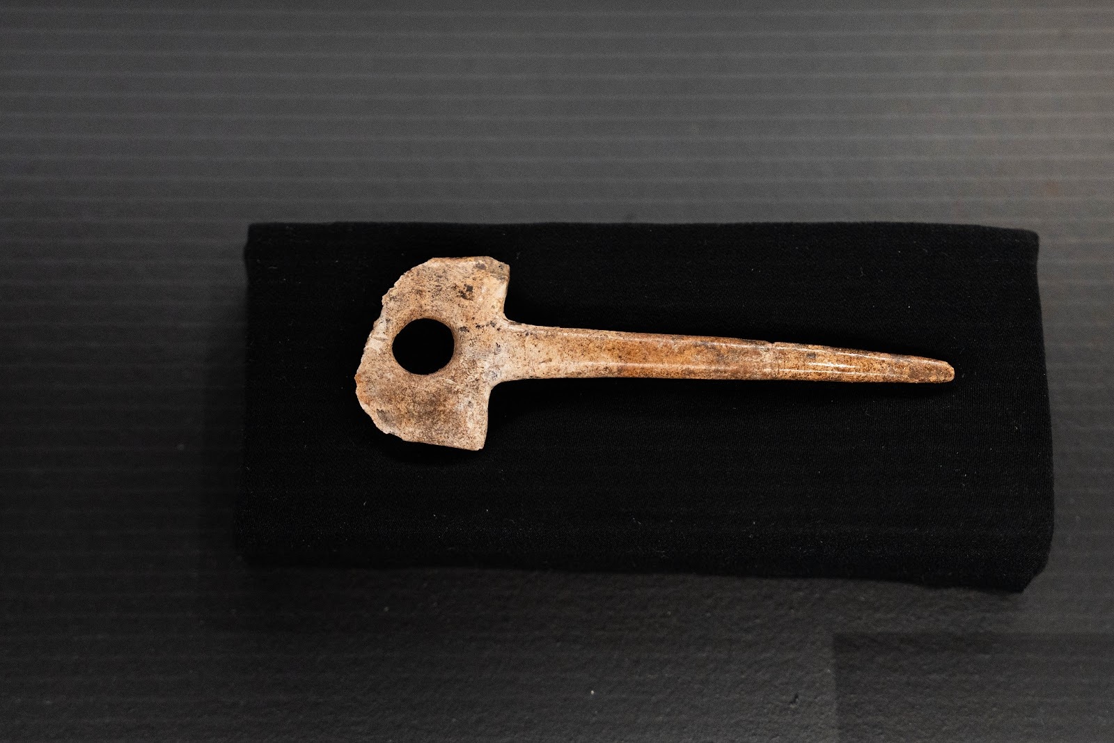 Sungir site. Upper Paleolithic in the central Russian Plain - My, Vladimir region, Vladimir city, Museum, Sungir, Stone Age, Ancient people, Burial, Mammoth tusks, sights, History (science), Archaeological excavations, Longpost