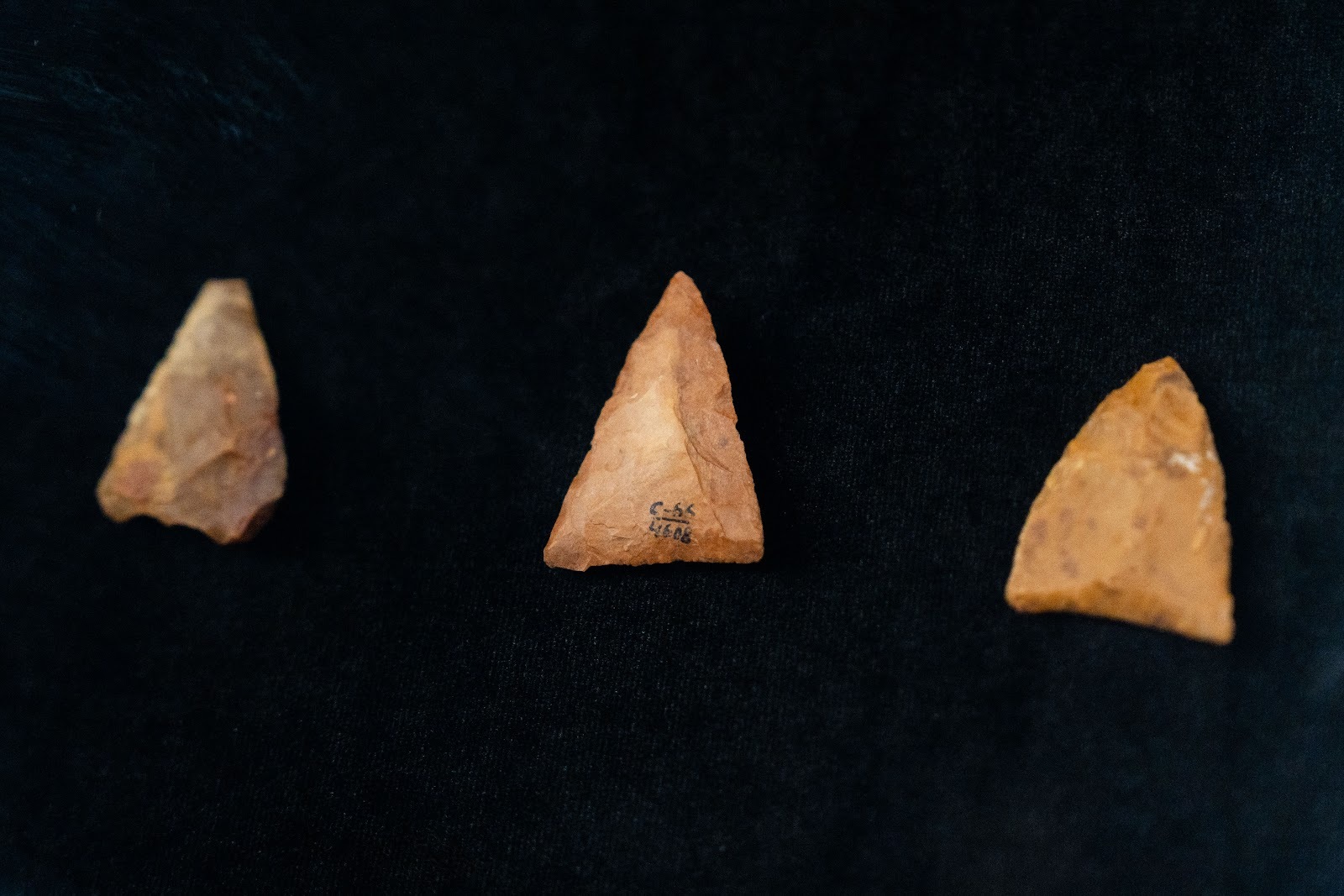 Sungir site. Upper Paleolithic in the central Russian Plain - My, Vladimir region, Vladimir city, Museum, Sungir, Stone Age, Ancient people, Burial, Mammoth tusks, sights, History (science), Archaeological excavations, Longpost