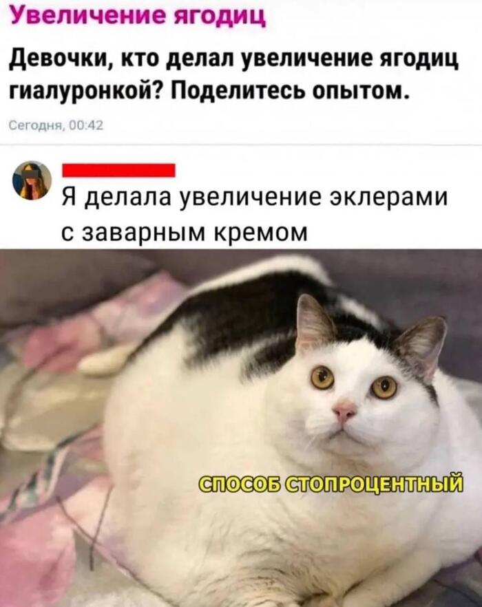 ����� ������ �������� ������
