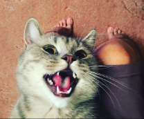 ����� ���