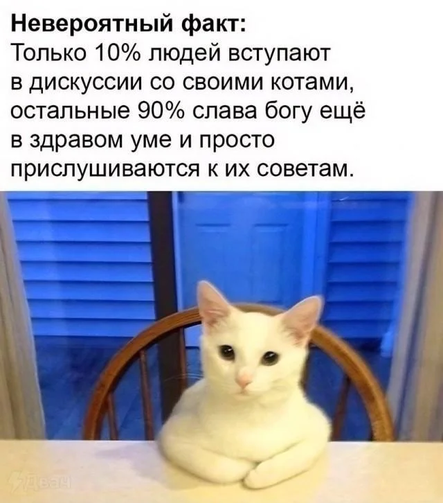 Maybe I'll throw in some more funny pictures... :) - Series Memes
, Humor, Picture with text, Memes, Longpost