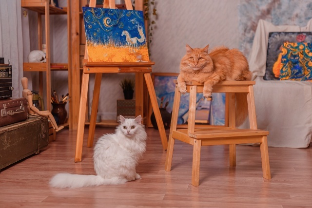 Кажется, они что-то замышляют