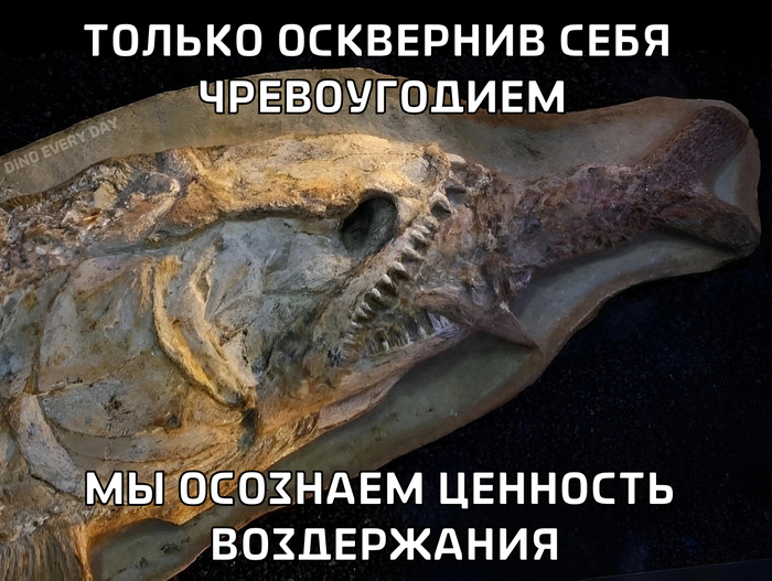 DED