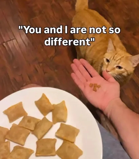 ���������������