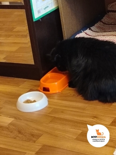 ���, ��� ��� � ��� ������� �����������?))