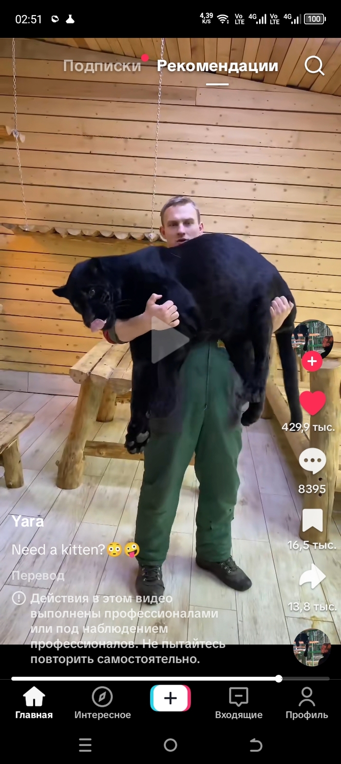 Киско ннада?...