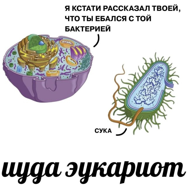 2.