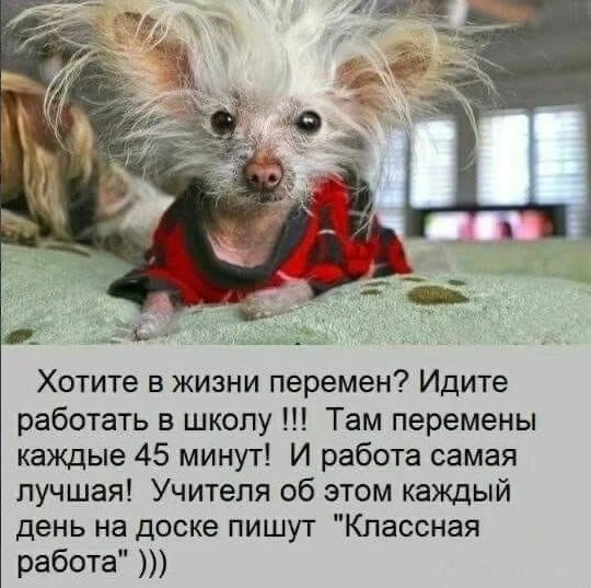 ������ � ����� �������?
