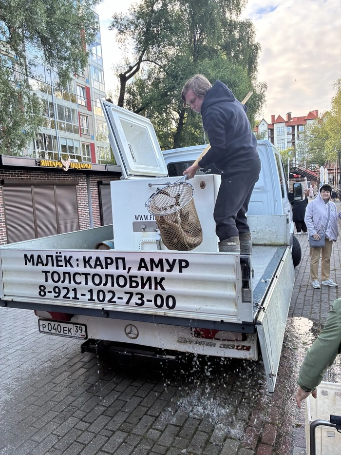 �� ����� ������������������ ���������� �������� ����.