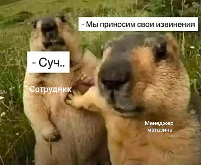 Дружбаны поделили суку