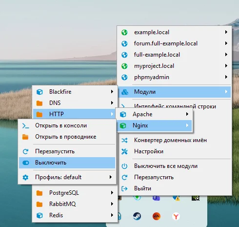 Открываем сервер 6 версии-Guide setup open server v 6 - Серия Open ServerSetup, Моё, Программа, Linux, PHP, Сервер, Setup, Devel PHP, Backend, Windows, Microsoft, Длиннопост