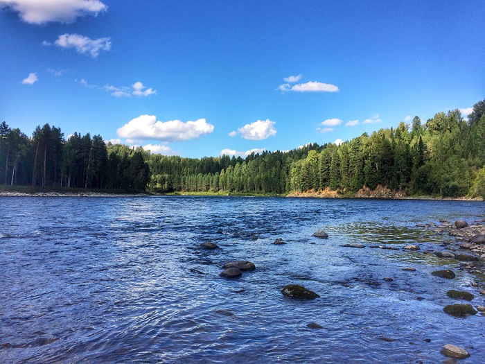 Река Бия
