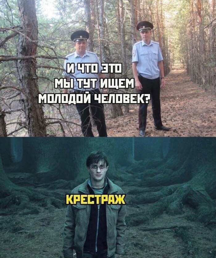 ���� ������