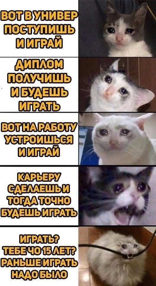 ������� �� ������� ������ ��������)