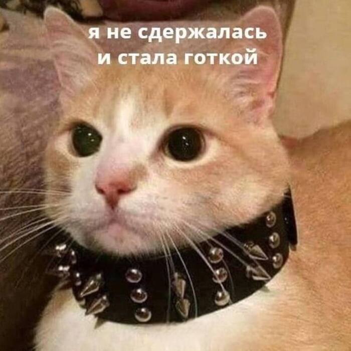 ����� �� �� ��������