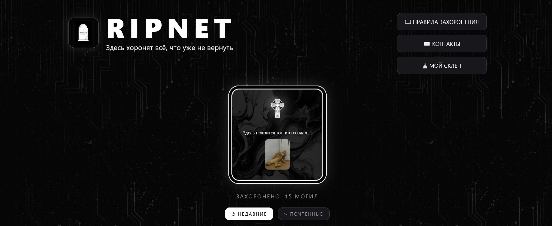 My first website. Check it out! - My, Work, Programmer, Recommendations, IT, Programming, Site, Web development, Idea, Project