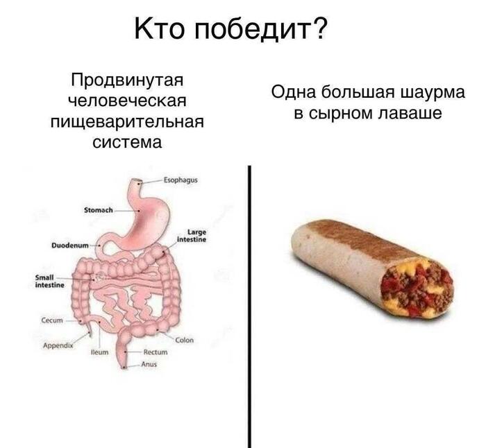 ������ ������ )
