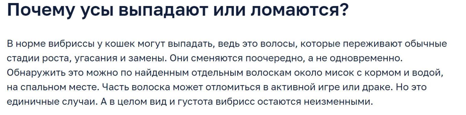 Is it true that a healthy cat should have exactly 24 whiskers? - Fake news, cat, Pets, Усы, Longpost