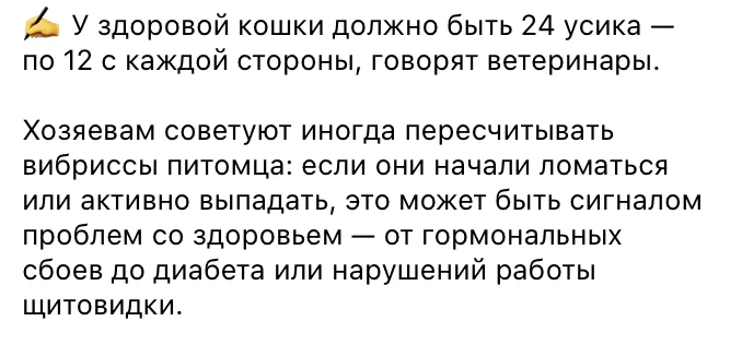 Is it true that a healthy cat should have exactly 24 whiskers? - Fake news, cat, Pets, Усы, Longpost