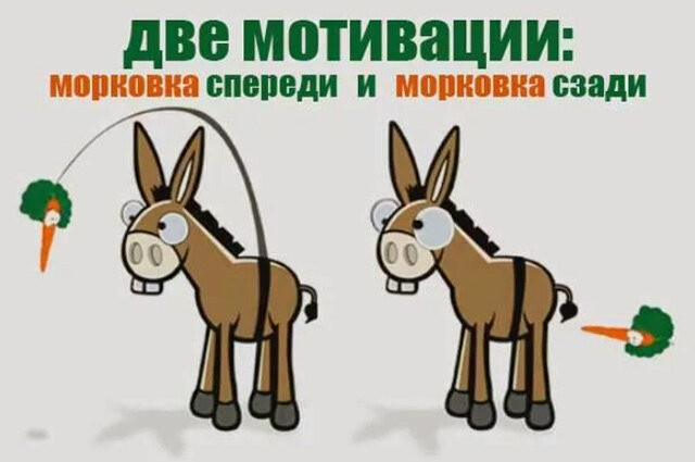 Ответ на пост «Ozon, Морковск, победители, подписки и подписчики»
