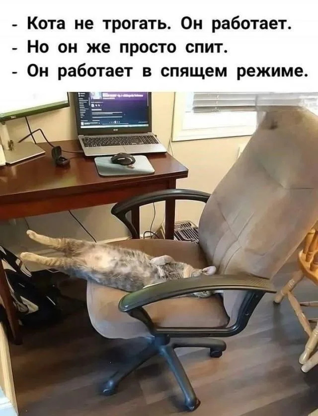 For those interested in memes, here are some - Series Memes
, Humor, Picture with text, Memes, Long, Strange humor, Sad humor, Longpost