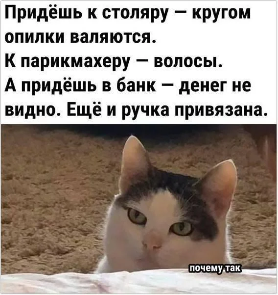 For those interested in memes, here are some - Series Memes
, Humor, Picture with text, Memes, Long, Strange humor, Sad humor, Longpost