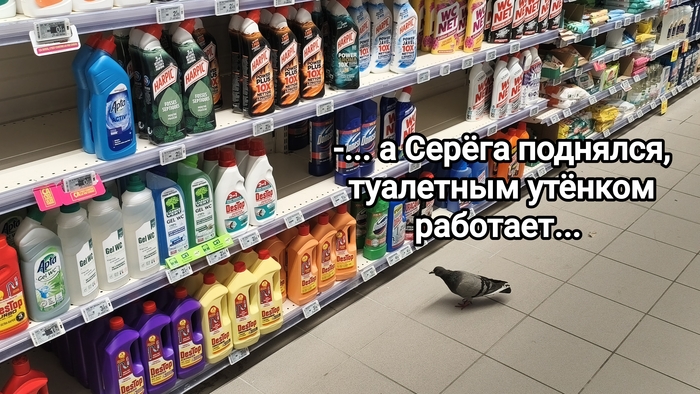 Поднялся
