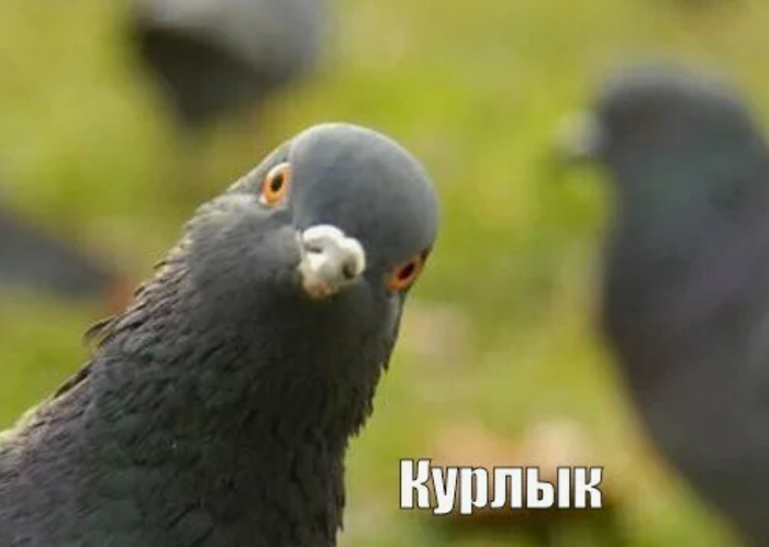 ������� ����������� ���������� ���� �������