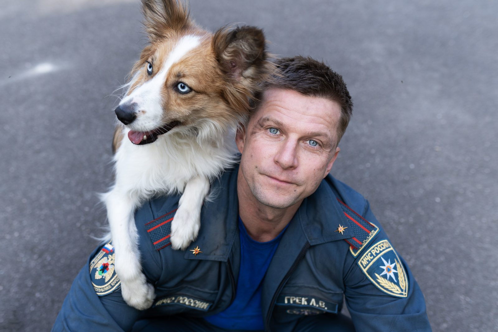 Rescuers investigate a murder, a lawyer angers investigators: 5 detective series that will brighten up your summer vacation - Расследование, Murder, Crime, Tragedy, The crime, Maniac, Prison, Criminal case, New films, investigative committee, Detention, I advise you to look, Serials, Company Blogs, Longpost, Negative, 