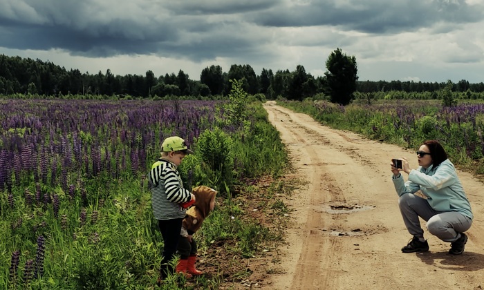 Ответ на пост «Ответ на пост "Покажите последнюю фотографию, которую вы сделали просто потому что вам было красиво"»
