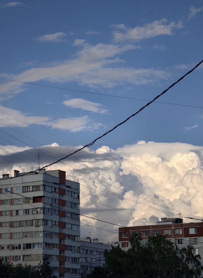 Ответ на пост «Покажите последнюю фотографию, которую вы сделали просто потому что вам было красиво»