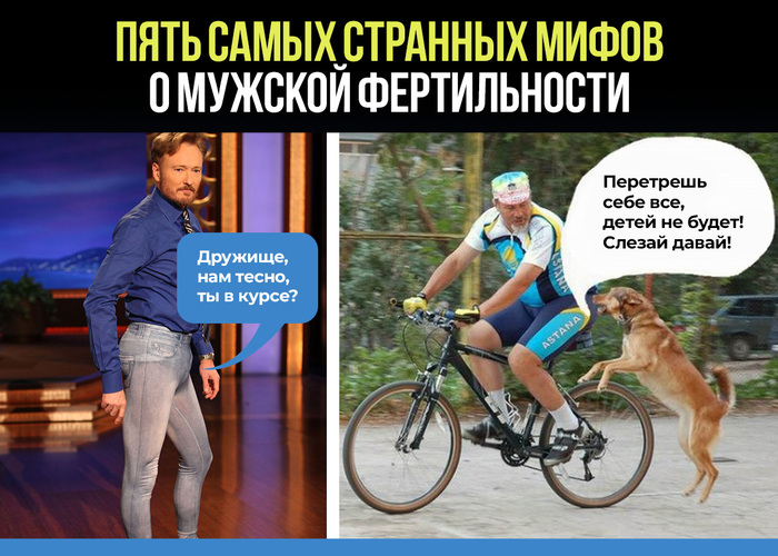 Мифы о мужской фертильности0