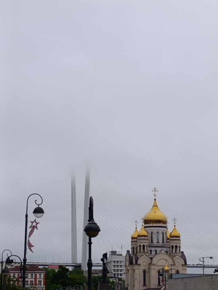 Ответ на пост «Покажите последнюю фотографию, которую вы сделали просто потому что вам было красиво»