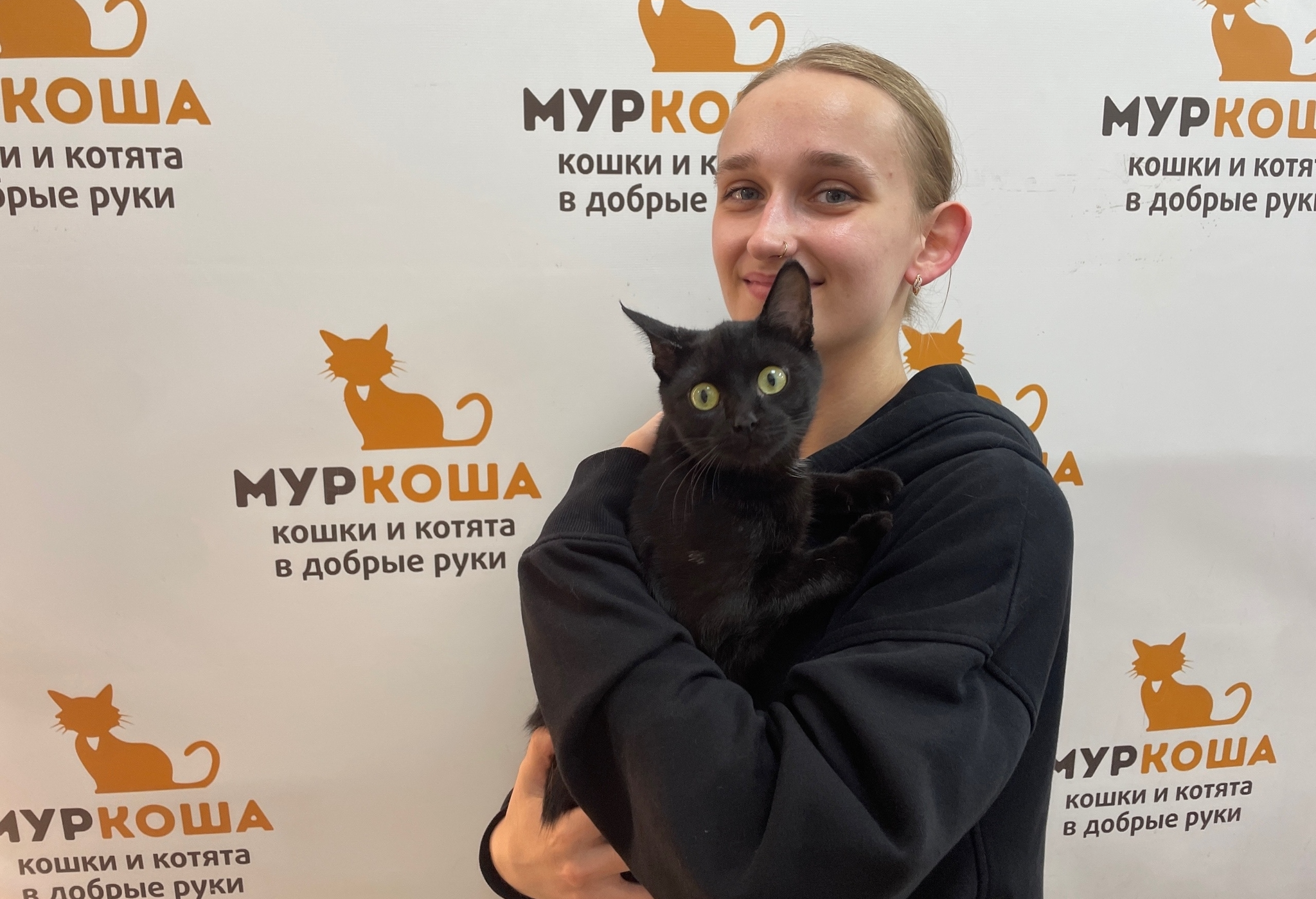 10 kittens have gone home in the last two weeks! - Series Found a home, My, In good hands, Good league, Helping animals, cat, Moscow, Murkosh shelter, Kittens, Paws, Cat lovers, Kindness, Pets, Short videos, Vertical video, Found a home, The photo, Events, Happiness, Miracle, I share my joy, Video, Longpost
