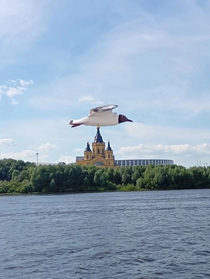 Ответ на пост «Покажите последнюю фотографию, которую вы сделали просто потому что вам было красиво»