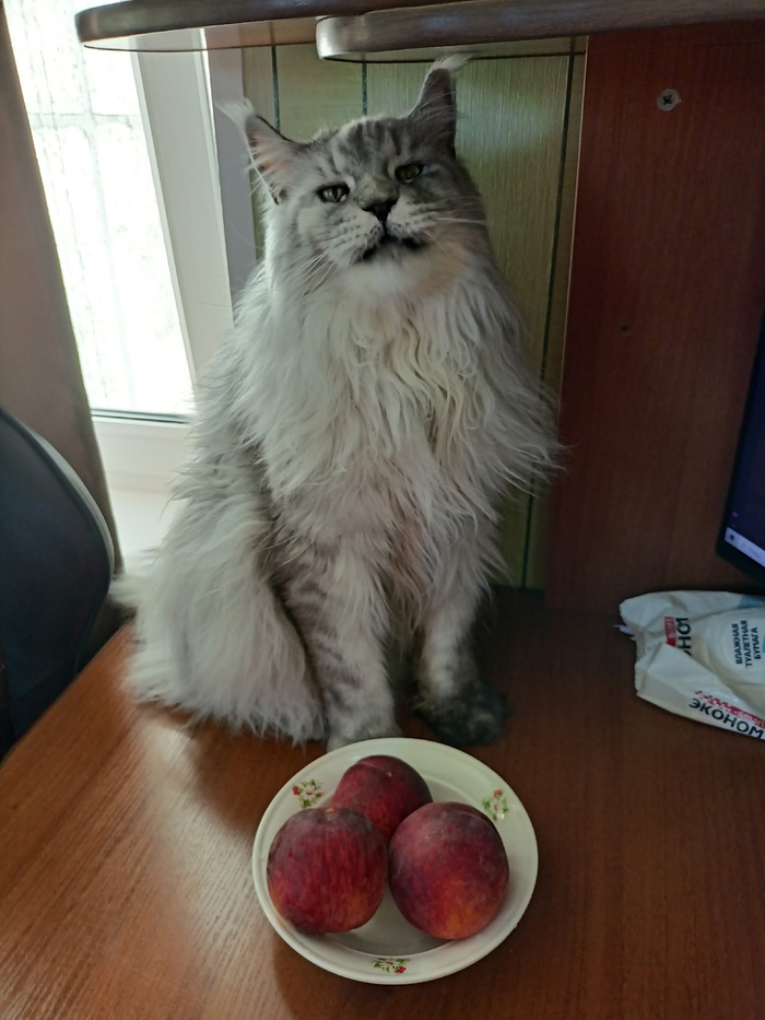 Покажите последнюю фотографию, которую вы сделали просто потому что вам было красиво
