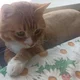 ������ ������������ user11378098