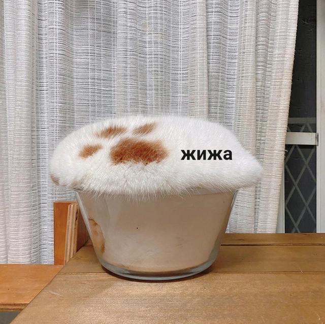 Котовая