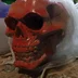 necros19990