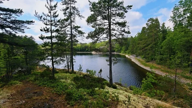 Journey through Karelia. Chapter 1: Ladoga Skerries. Part 2 - My, Alloy, Kayak, Skerries, Ladoga, Ladoga skerries, Island, Australian shepherd, Карелия, Travels, Hike, Longpost