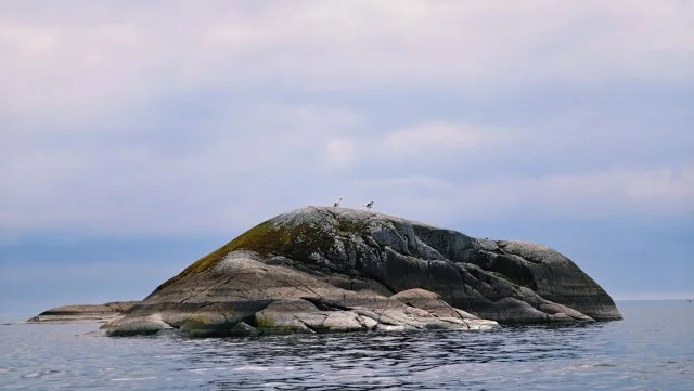Journey through Karelia. Chapter 1: Ladoga Skerries. Part 2 - My, Alloy, Kayak, Skerries, Ladoga, Ladoga skerries, Island, Australian shepherd, Карелия, Travels, Hike, Longpost