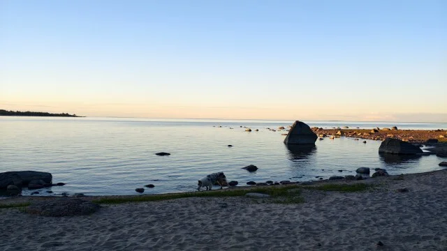 Journey through Karelia. Chapter 1: Ladoga Skerries. Part 1 - My, Alloy, Skerries, Ladoga, Ladoga skerries, Kayak, Australian shepherd, Карелия, Longpost