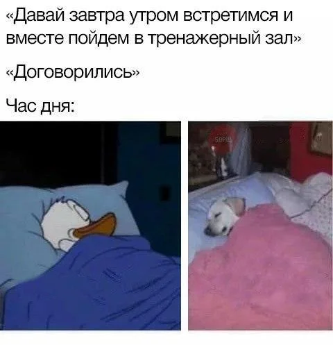 Memes July 12, 2026 A.D. - Picture with text, Memes, Images, Humor, Strange humor, Longpost, A selection, Video
