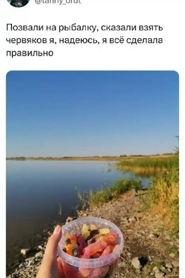 Memes July 13, 2026 - Picture with text, Memes, Images, Humor, Strange humor, A selection, Longpost, Video, Vertical video, Short videos