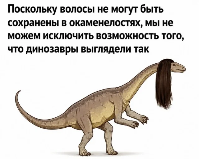 Memes July 13, 2026 - Picture with text, Memes, Images, Humor, Strange humor, A selection, Longpost, Video, Vertical video, Short videos