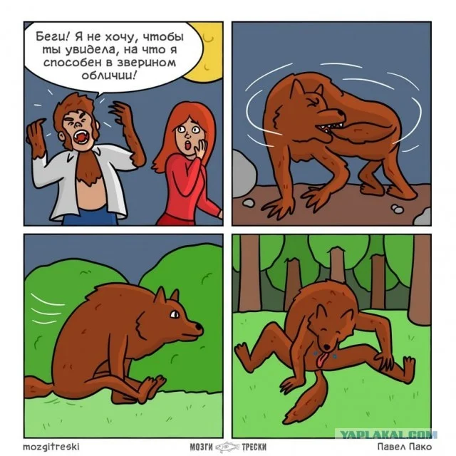 Memes July 13, 2026 - Picture with text, Memes, Images, Humor, Strange humor, A selection, Longpost, Video, Vertical video, Short videos