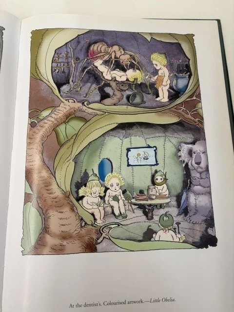 The Fairytale World of Australia - My, Children's literature, Art, Life stories, Longpost