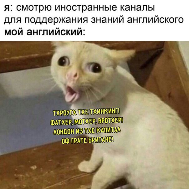 �� ���� ��������