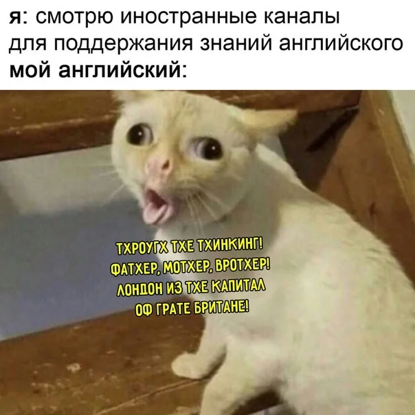 Well, at least I'm trying. - Humor, Picture with text, Hardened