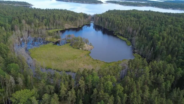 Journey through Karelia. Chapter 1: Ladoga Skerries. Part 4 - My, Skerries, Карелия, Ladoga, Lake, Alloy, Australian shepherd, Kayak, Rain, Beach, The rocks, Hike, Weather, Longpost